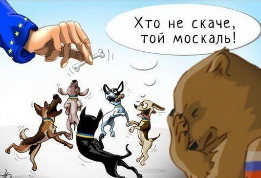 skachet.jpg