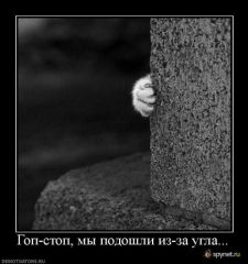 гоп-стоп )))
