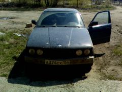 IMG0616A.jpg