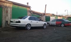 IMAG0033.jpg