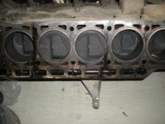 DSCN1689.jpg