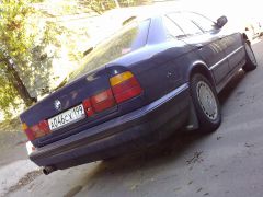 09102010823.jpg