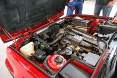 y_780d8d06.jpg