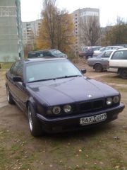 x_974f213a.jpg