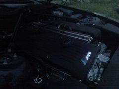 x_24d021df.jpg