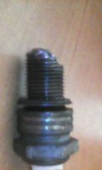 IMG0024A.jpg