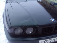 любимка 535 прости