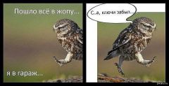 getImage