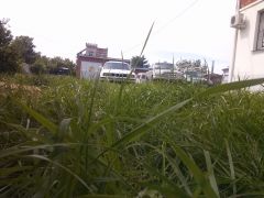 CAM00844