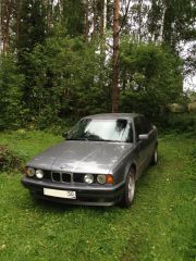 На природе 1