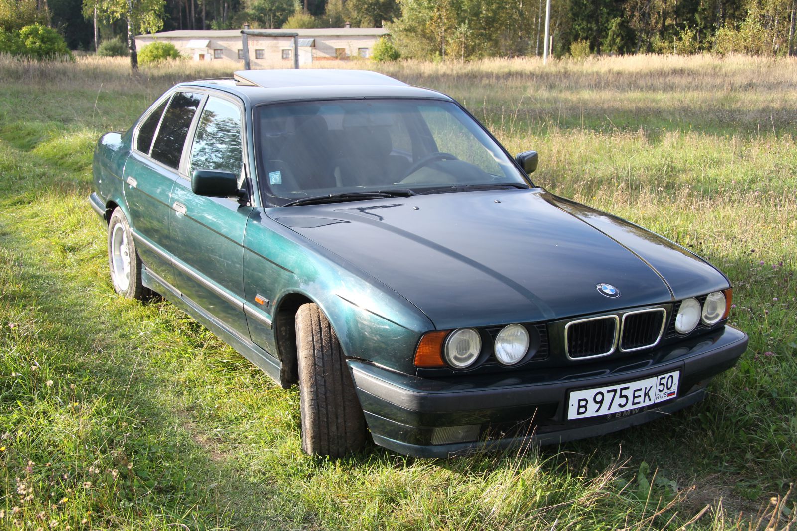 БМВ 525 зеленая е 34