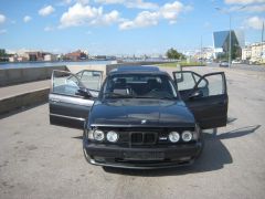 IMG_1236.JPG