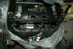 IMGP5961