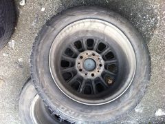 IMG 1135