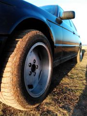 IMG 20151107 152739