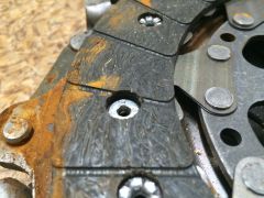 IMG_5091.JPG