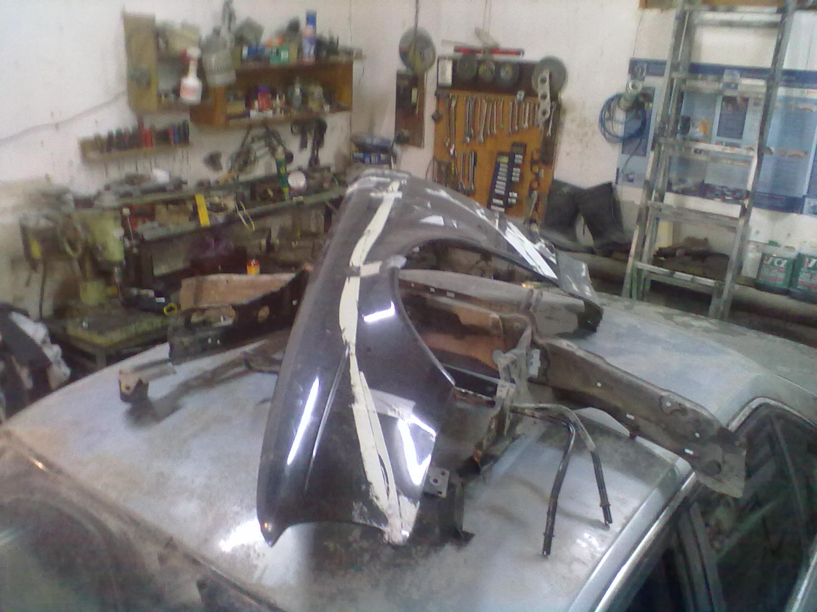 gallery_10206_240_14155.jpg