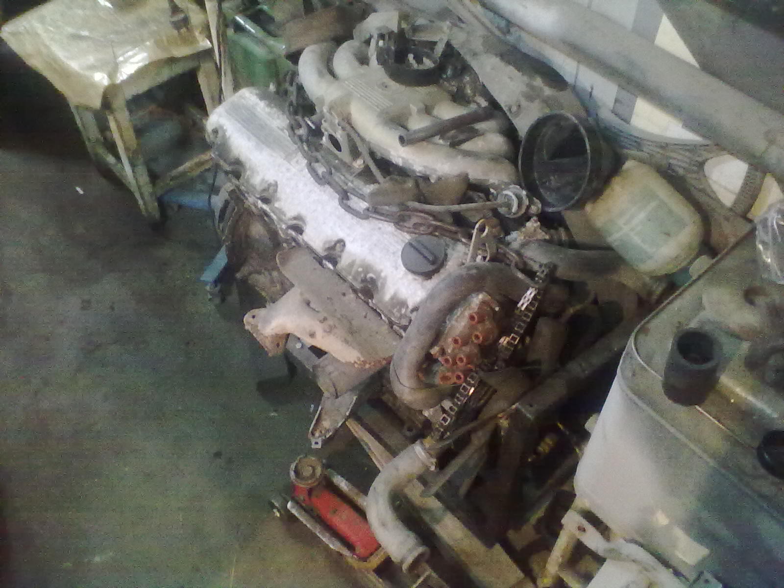 gallery_10206_240_96952.jpg