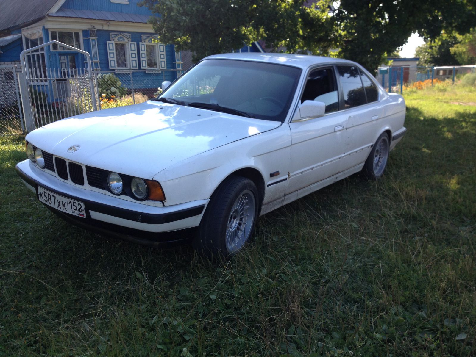 gallery_26404_962_1466851.jpg