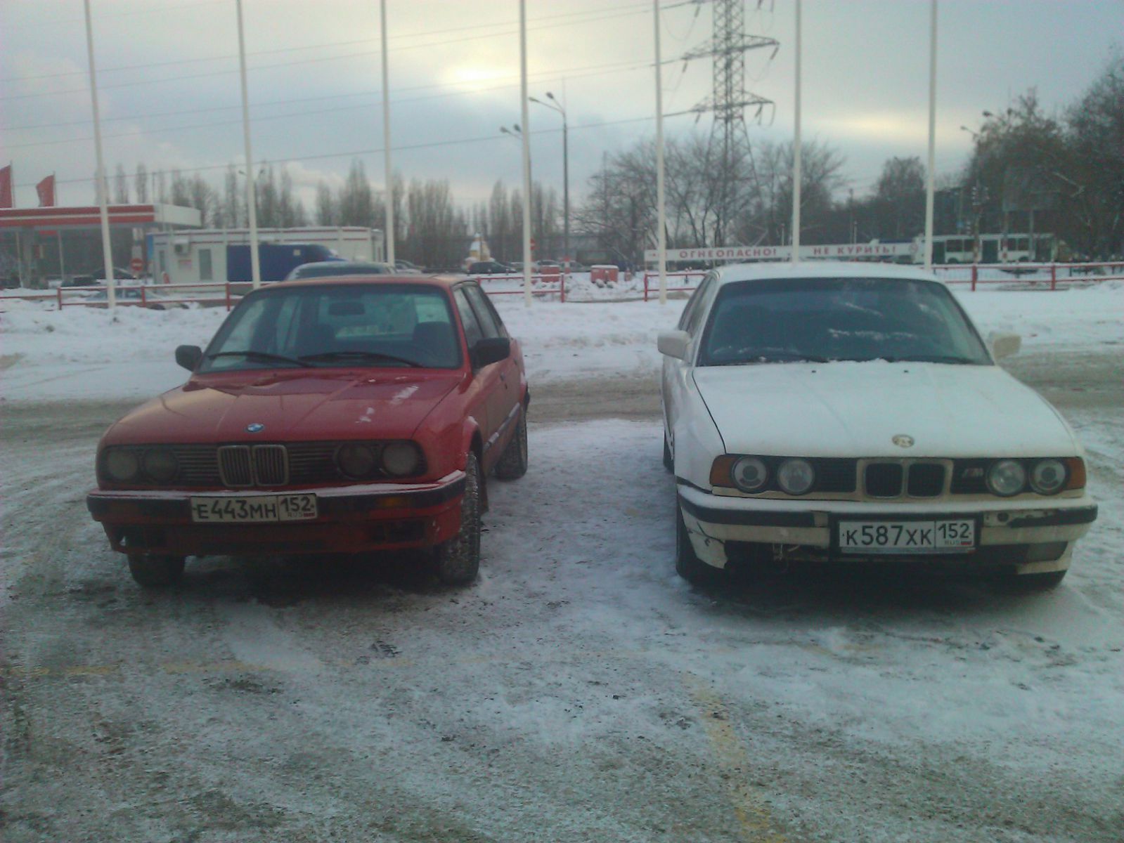 gallery_26404_962_260166.jpg