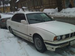 WP_000742.jpg