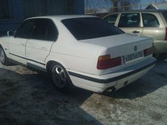 WP_000712.jpg