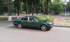 IMAG0252