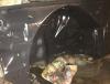 IMG_0319_665x499.jpg