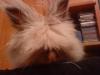 DSC00483.JPG