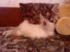 DSC00020.JPG