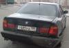 IMAG0286.jpg