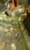 IMAG0439.jpg