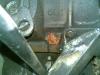 02052011www.JPG