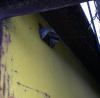 IMG-20171118-WA0004.jpeg
