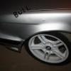 bull