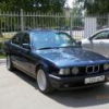 Dima 797