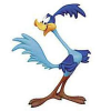 Road Runner
