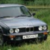 chajka32