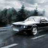 Vitaliy5029