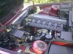 21082010365.jpg