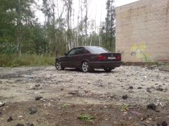 DSC00530.JPG