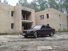 DSC00529.JPG