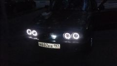 z_8ff769b0.jpg