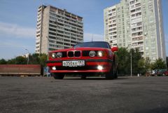 IMG_9493.jpg