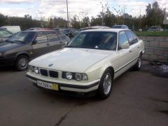 z_ffe1381f.jpg