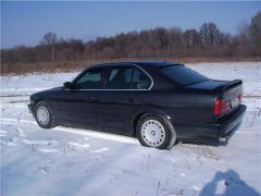 image_url-9558-1298636417.jpg