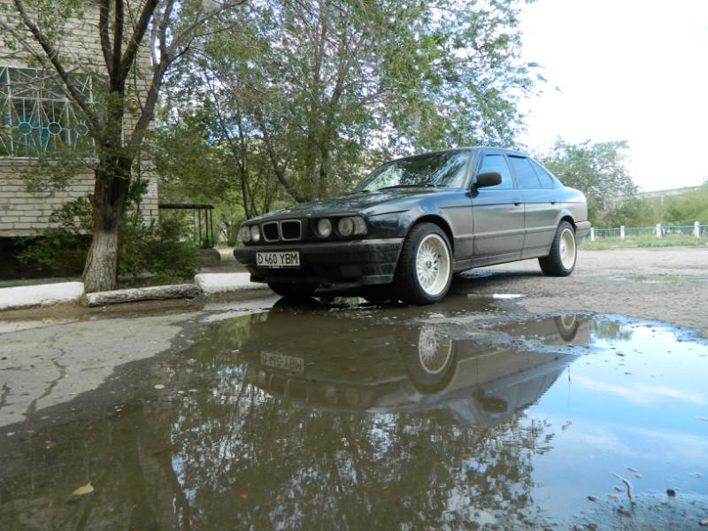 Моя 5-40