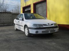 SDC15770.JPG