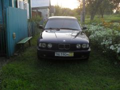 SDC16000.JPG