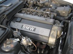 IMG_0313.JPG